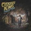 Cassius King - Below the Stones