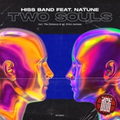 Two Souls (feat. Natune) [The Distance & Igi Remix] artwork