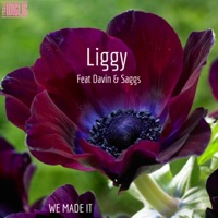 We Made It - Single - Liggy