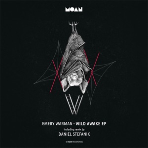Wild Awake - Single
