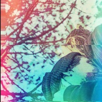 Silence - Single - Solfire & Braxx