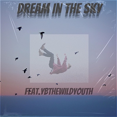 Dream in the Sky (feat. Ybthewildyouth) - Single
