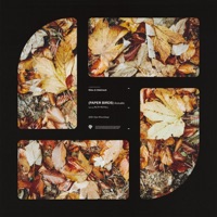 Paper Birds (Acoustic) - Single - Ekko & Sidetrack & Ruth Royall