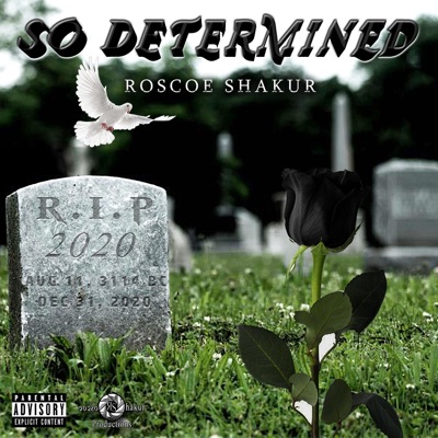 So Determined - Single