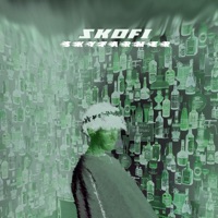 0.03 - Single - Skofi & Skyfarmer