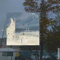 common courtesy - Single - Defsharp