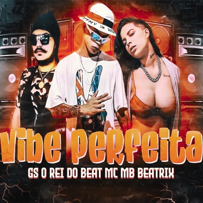 Vibe Perfeita - Single