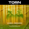 Torn (Jamie Nugent Remix) [feat. Sam Welch] - Single