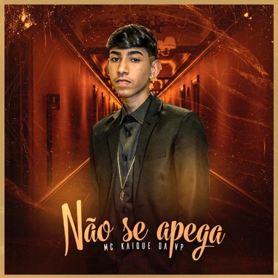 Não Se Apega - Single