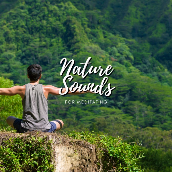 Nature Sounds For Meditating - EP