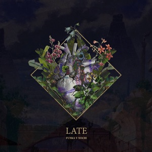 Late (feat. Funka) [Tribilin Sound Remix]