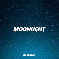 Moonlight (feat. PANE) - Single - DJ Ralle