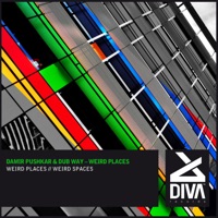 Weird Spaces - Single - Damir Pushkar & Dub Way