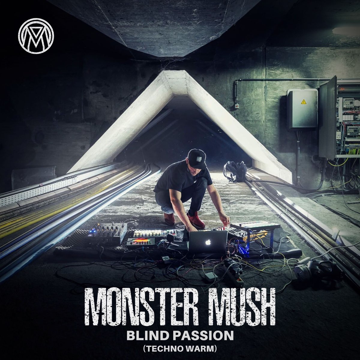 Blind Passion (Techno Warm) – Album par Monster Mush – Apple Music