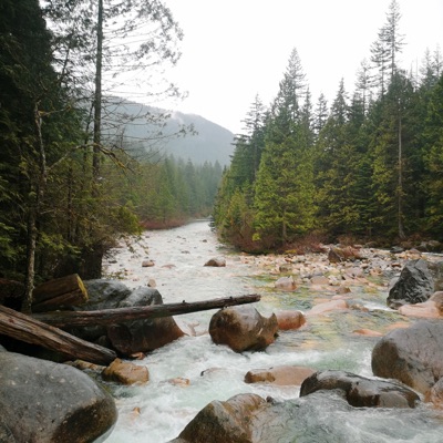 Tompuan - To the Bone