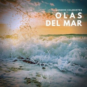 Sonidos Calmantes: Olas del Mar