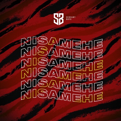 Nisamehe - Single