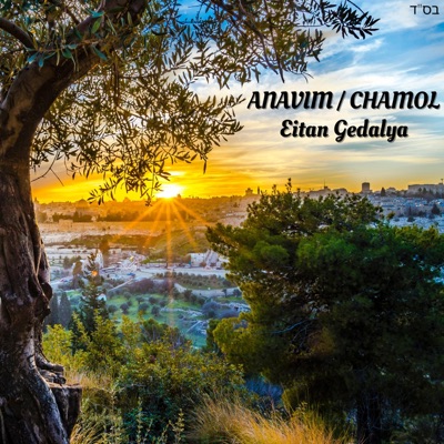 Anavim / Chamol (Acapella) - Single