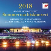 Sommernachtskonzert 2018 (Summer Night Concert 2018) [Live] artwork