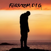 Förutom dig artwork