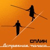 Сплин - Волк