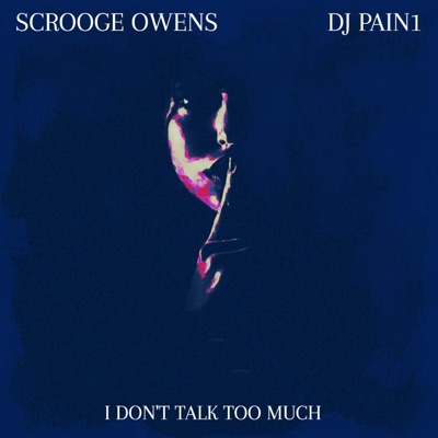 I Don't Talk Too Much - Single