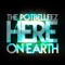 Here On Earth (Tom Budin Remix) - The Potbelleez lyrics