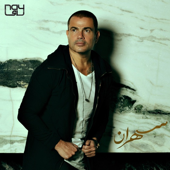 Cover artwork for Aam El Tabeeb