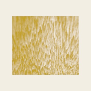 The Fluidity of Time Does Not Exist - EP