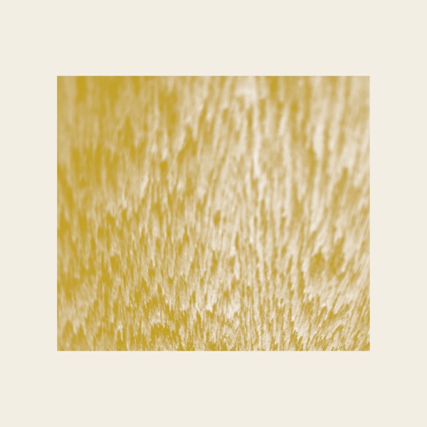 The Fluidity of Time Does Not Exist - EP