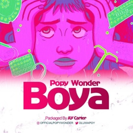 Boya Popy Wonder