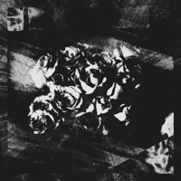 SELF IMMOLATION (feat. Kaiju Soup & elitimesfour) - Single - Alkaline Pink