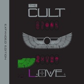 Little Face by The Cult