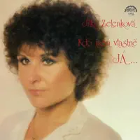 Vyprávění V Pokoji — Jitka Zelenková