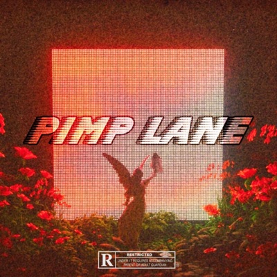 Pimp Lane (feat. Sadi) - Single