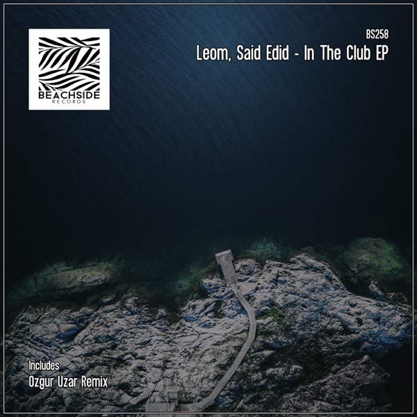In the Club - Single