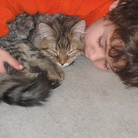 Fond Memories - Single - Ladman