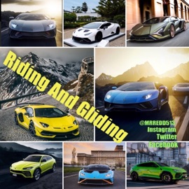 Riding and Gliding MR.REDD513