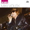 Pop Galerie - Miki Volek