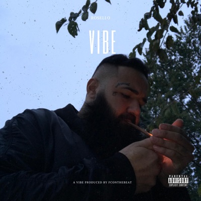 Vibe - Single