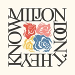 Miljon - Windows 79