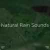 Stream & download !!!" Natural Rain Sounds "!!!