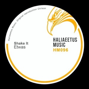 Shake It - Single