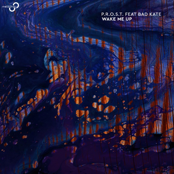Wake Me Up (feat. Bad Kate) - Single