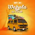 Wahala No De Finish