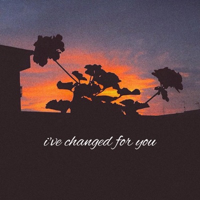I've Changed for You (feat. Madson Project.) - Single