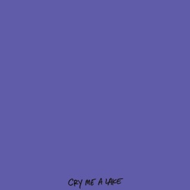 Cry Me a Lake Ylti & Gino Driggs
