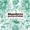 Fly High (feat. Hindi Zahra) - Blundetto lyrics