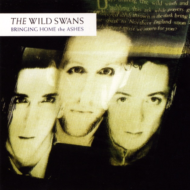 Wild Swans - Bringing Home the Ashes - Amazon.com Music