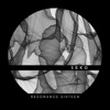 Resonance Sixteen - Single